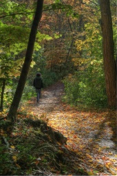 resized_fall08_8.jpg
